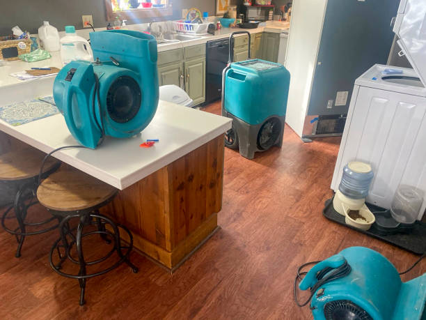 Best Local water damage restoration  in Beatrice, NE