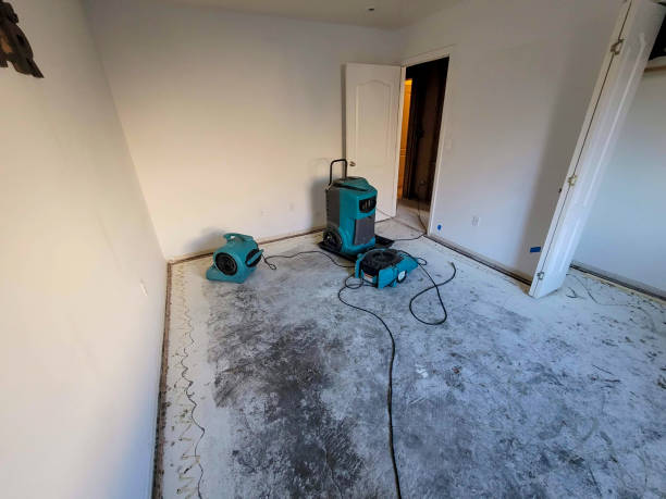 Best Water damage restoration near me  in Beatrice, NE