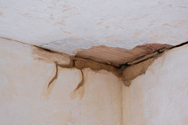 Best Commercial water damage restoration  in Beatrice, NE