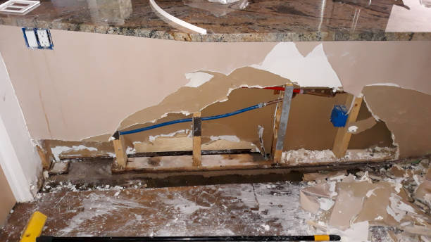 Best Professional water damage repair  in Beatrice, NE