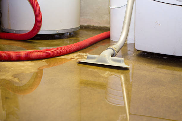 Best Water damage cleanup near me  in Beatrice, NE
