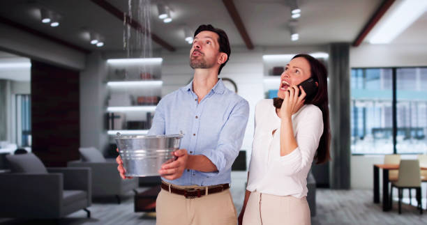 Best Flood restoration services  in Beatrice, NE