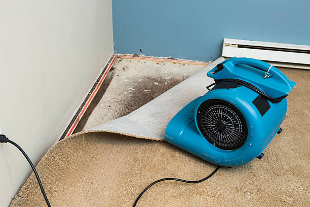 Best Flooded house restoration  in Beatrice, NE